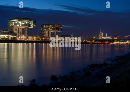 Rheinauhafen, Rheinau Harbour, con gli edifici Kranhaus dall architetto Alfons Linster e, Bothe Richter Teherani, architetti, Foto Stock