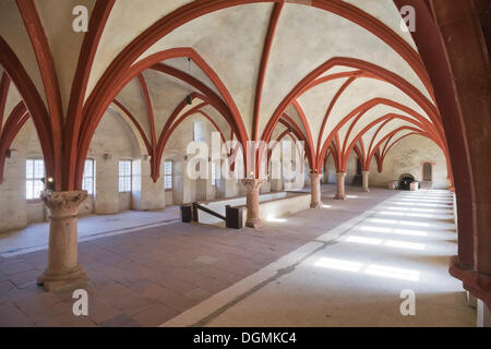 Il Gotico cross-ribbed vault nel dormitorio di Eberbach offrono Abbey, Kloster Eberbach offrono, Eltville, Hesse, Germania Foto Stock