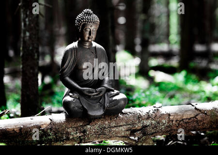 Statua del Buddha seduto su un tronco di albero nella foresta, Germania Foto Stock