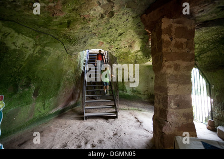 Wissembourg Francia, il castello medievale Fleckenstein rock Foto Stock