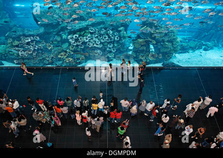 I visitatori di fronte a Dubai Aquarium, Dubai Mall Shopping Centre, Emirati Arabi Uniti, Medio Oriente e Asia Foto Stock