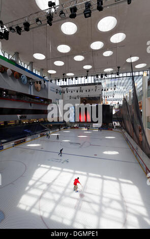 Dubai Ice Rink, una pista per il pattinaggio sul ghiaccio nel centro commerciale di Dubai, Emirati Arabi Uniti, Medio Oriente e Asia Foto Stock