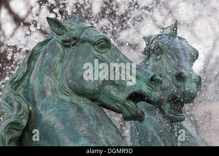 Capi di due cavalli, fontana figure, Fontaine Carpeaux o Fontaine de l'Observatoire fontana, Jardin Marco Polo Park Foto Stock