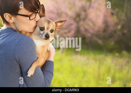 Una giovane donna in un campo erboso in primavera. Tenendo un piccolo cane chihuahua nelle sue braccia. Un pet. Foto Stock