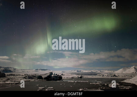 Green Northern Lights, Aurora Boreale, in una notte di luna di fronte al Joekulsárlón laguna glaciale Foto Stock