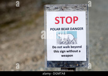 Orso polare in segno di avvertimento, Kongsfjorden, a Ny Ålesund, isola Spitsbergen, arcipelago delle Svalbard Isole Svalbard e Jan Mayen, Norvegia Foto Stock