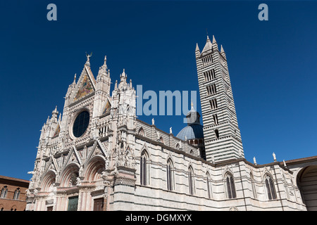 La Cattedrale Metropolitana di Santa Maria Assunta è la chiesa principale di Siena, Italia. Foto Stock