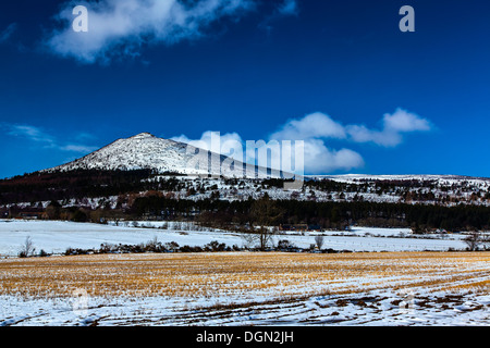 Vista della coperta di neve Mither tocca in Bennachie nel tardo inverno Foto Stock