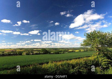 Estate vista sul fiume Welland valley, Harringworth village, Northamptonshire, Inghilterra; Gran Bretagna; Regno Unito Foto Stock