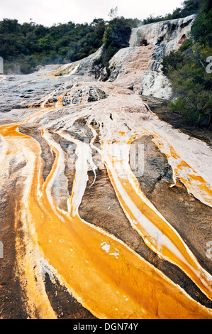 Il sito di origine vulcanica di Orakei Korako, vicino a Taupo, Nuova Zelanda Foto Stock