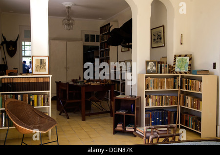 Hemmingway's house, cercando nella libreria, scrivania, libri e montato il bufalo d'acqua la testa sulla parete Foto Stock
