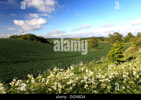 Estate vista sul fiume Welland valley, Ridlington village, Rutland County, Inghilterra; Gran Bretagna; Regno Unito Foto Stock