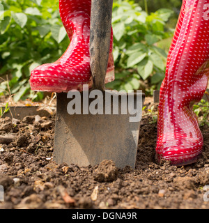 Donna colore rosso da indossare stivali di gomma con pala Foto Stock