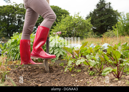 Donna che indossa jeans e rosso stivali di gomma nel suo giardino Foto Stock