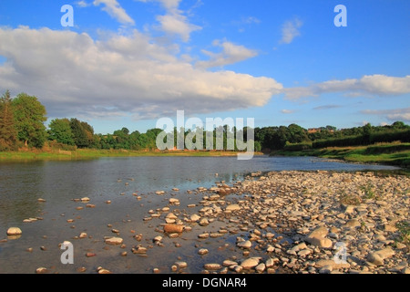 Fiume Tweed, Tweeddale, Nr Newstead, i confini della contea, Scotland, Regno Unito Foto Stock