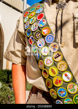 Un Boy Scout il merito il badge anta include il conseguimento badges per macchine per la lavorazione del legno, del naturalismo, cottura, lore indiano, ed entomologia. Foto Stock