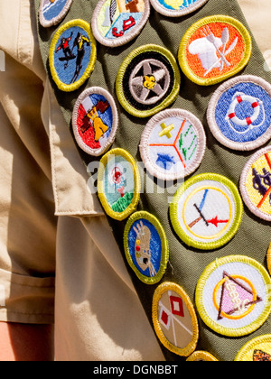 Un Boy Scout il merito il badge anta include il conseguimento badges per macchine per la lavorazione del legno, del naturalismo, cottura, lore indiano, ed entomologia. Foto Stock