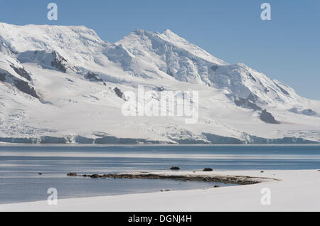 Zodiac imbarcazioni gonfiabili tra Half Moon Island, anteriore e Livingston Islanda, posteriore, Südliche Shetlandinseln, Antartide Foto Stock