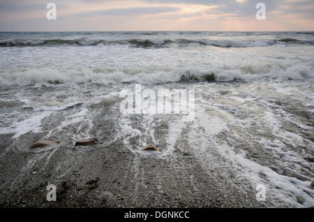 Inverno sulla costa del Mar Baltico, Jasmund National Park, Ruegen Isola, Meclemburgo-Pomerania Occidentale Foto Stock