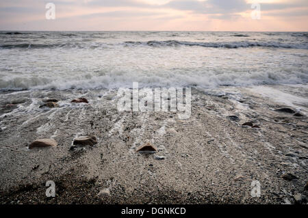 Inverno sulla costa del Mar Baltico, Jasmund National Park, Ruegen Isola, Meclemburgo-Pomerania Occidentale Foto Stock