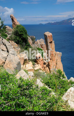 Le formazioni rocciose su Capu Rosso penisola sulla costa occidentale della Corsica, Francia, Europa Foto Stock