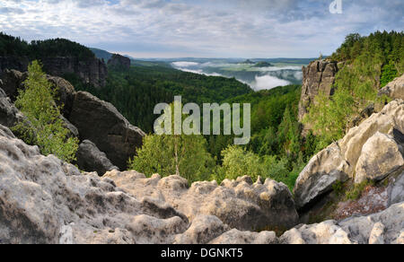 Vista valle del fiume Elba dal Malerweg Hiking trail, Svizzera Sassone, Elba montagne di arenaria, Sassonia Foto Stock