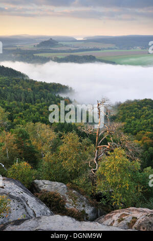 Vista da rocce Schrammsteine sulla valle dell'Elba verso Zirkelstein e Kaiserkrone in autunno a sunrise Foto Stock