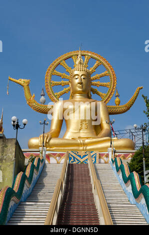 Grande statua di Buddha nel tempio di Ban Bo Phut, Ko Samui, Tailandia, Asia Foto Stock