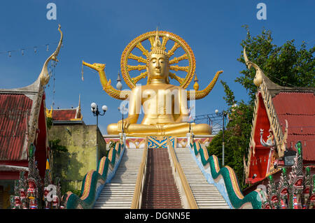 Grande statua di Buddha nel tempio di Ban Bo Phut, Ko Samui, Tailandia, Asia Foto Stock