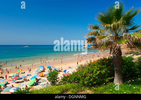 Santa Eulalia, Algarve, Portogallo, Europa Foto Stock