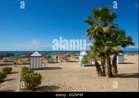 Playa del Duque, Costa Adeje, Tenerife, Isole Canarie, Spagna, Europa Foto Stock