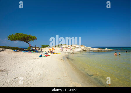 Karidi beach, Vouvourou, Sithonia, Calcidica o Halkidiki, Grecia, Europa Foto Stock