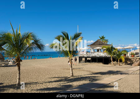 Playa del Duque, Costa Adeje, Tenerife, Isole Canarie, Spagna, Europa Foto Stock