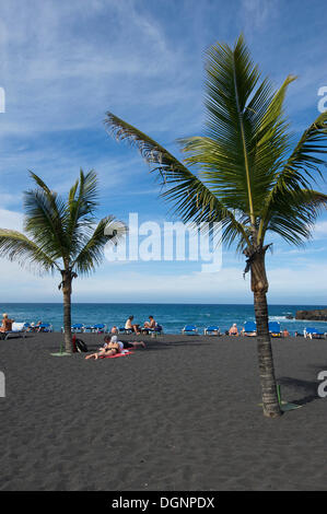 Playa Jardin in Puerto de la Cruz, Tenerife, Isole Canarie, Spagna, Europa Foto Stock