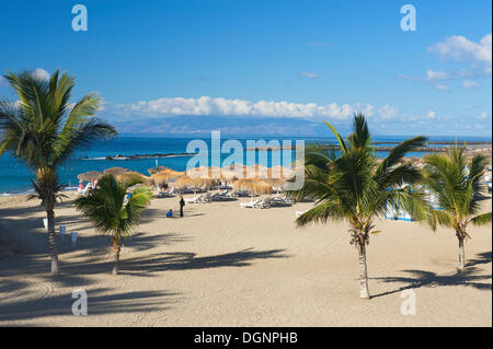 Spiaggia della Playa del Duque, Costa Adeje, Tenerife, Spagna, Europa Foto Stock