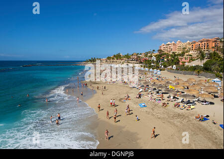 Spiaggia della Playa del Duque, Costa Adeje, Tenerife, Isole Canarie, Spagna Foto Stock