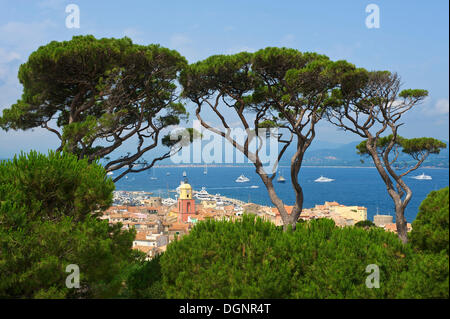 Vista della città dalla cittadella, Côte d'Azur, Saint-Tropez, Dipartimento del Var, Regione Provence-Alpes-Côte d'Azur, in Francia Foto Stock