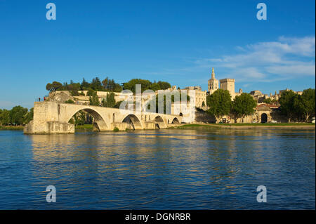 Pont Saint-Benezet ponte sul fiume Rodano, Avignone, Provenza, regione Provence-Alpes-Côte d'Azur, in Francia Foto Stock