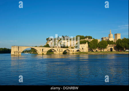 Pont Saint-Benezet ponte sul fiume Rodano, Avignone, Provenza, regione Provence-Alpes-Côte d'Azur, in Francia Foto Stock