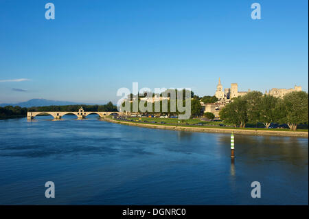 Pont Saint-Benezet ponte sul fiume Rodano, Avignone, Provenza, regione Provence-Alpes-Côte d'Azur, in Francia Foto Stock