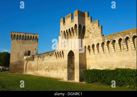 Le mura della città di Avignone, Provenza, regione Provence-Alpes-Côte d'Azur, in Francia Foto Stock