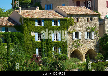 Edera-coperto casa di villaggio, Provenza, Aurel, Dipartimento del Vaucluse, Provence-Alpes-Côte d'Azur, in Francia Foto Stock