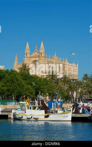 Cattedrale La Seu e il porto di pesca, Palma de Mallorca, Maiorca, isole Baleari, Spagna Foto Stock