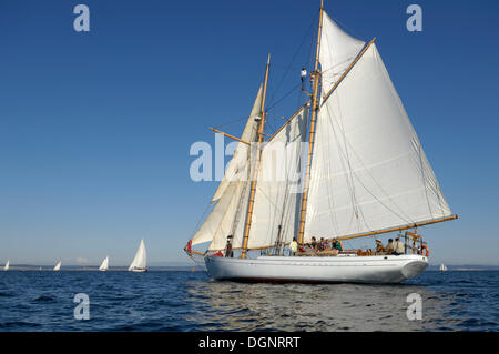 Alcyone, Port Townsend Imbarcazione in legno Festival, punto Hudson, Marina Port Townsend, Washington, USA, America Foto Stock