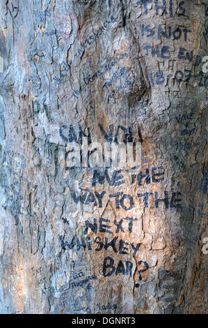 Iscrizioni su albero a alla tomba di Jim Morrison, il Cimitero di Pere-Lachaise, Parigi, Francia, Europa Foto Stock