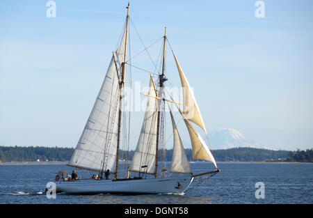 Barca a vela con Mount Ranier sul retro, Port Townsend Imbarcazione in legno Festival, Port Townsend, Washington, Stati Uniti d'America Foto Stock