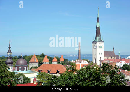 Panorama sul centro storico, vista dalla collina del castello, le torri della chiesa di San Nicola e la Cattedrale Alexander Nevsky Foto Stock