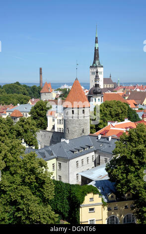 Panorama sul centro storico, vista dalla collina del castello, le torri della chiesa di San Nicola e la Cattedrale Alexander Nevsky Foto Stock