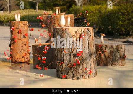 Ikebana scultura nel Parco di Maruyama, Kyoto, Giappone, Asia Foto Stock