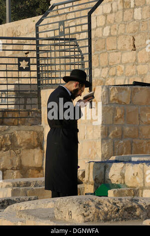 Ebreo ortodosso durante la preghiera della sera nel cimitero ebraico sul Monte degli Ulivi, Gerusalemme, Israele, Medio Oriente Foto Stock